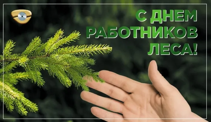 Открытки с Днем работников леса. Картинки с Днем работника леса 2023
