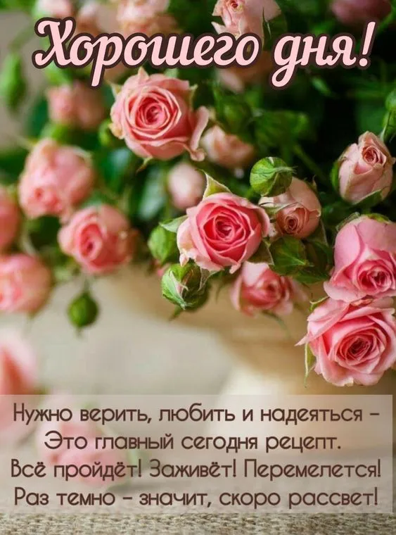 100+ картинок "Хорошего и доброго дня" . Хорошего дня - картинки с пожеланиями