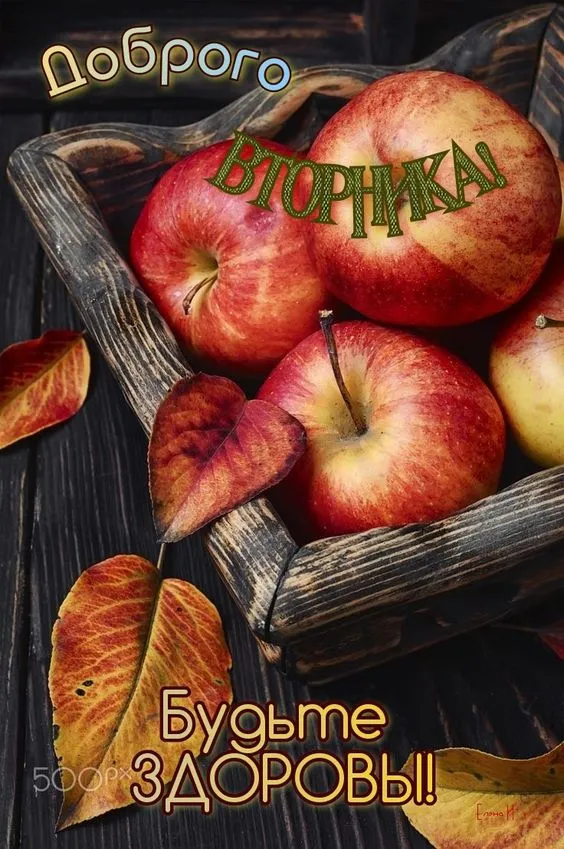 Картинки Доброе утро вторника. С Добрым утром вторника - картинки красивые и необычные