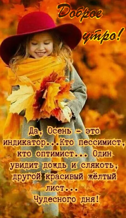 Осенние картинки "Доброе утро" (65 открыток). С Добрым утром - осенние картинки с пожеланиями