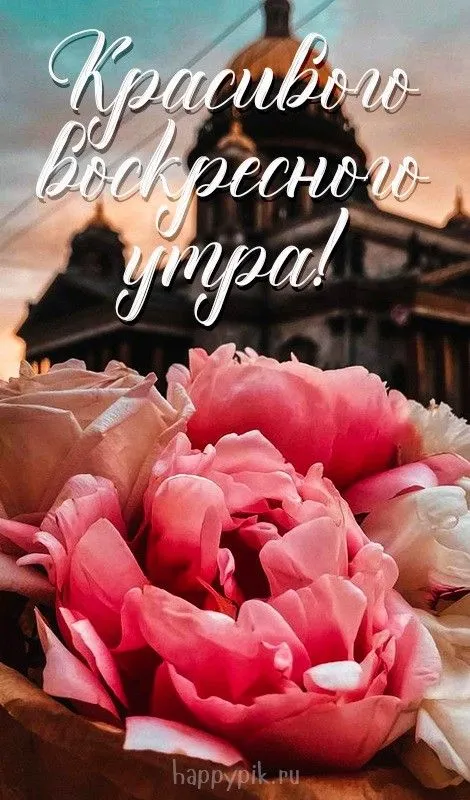100+ картинок с Добрым утром Воскресенья. Картинки с Добрым утром воскресенья необычные