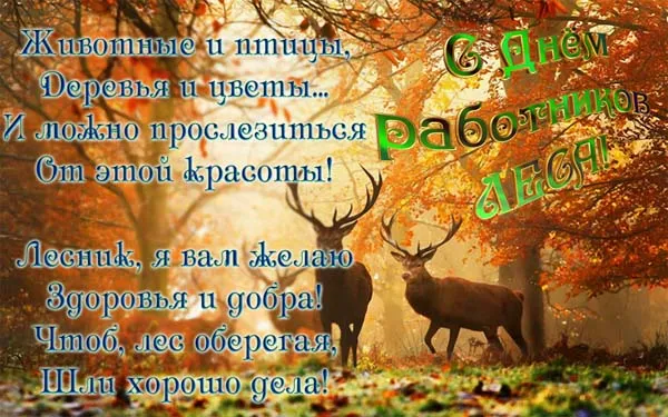 Открытки с Днем работников леса. С Днем работников леса - картинки с поздравлениями