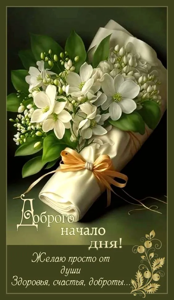 100+ картинок "Хорошего и доброго дня" . Картинки "Хорошего и доброго дня"