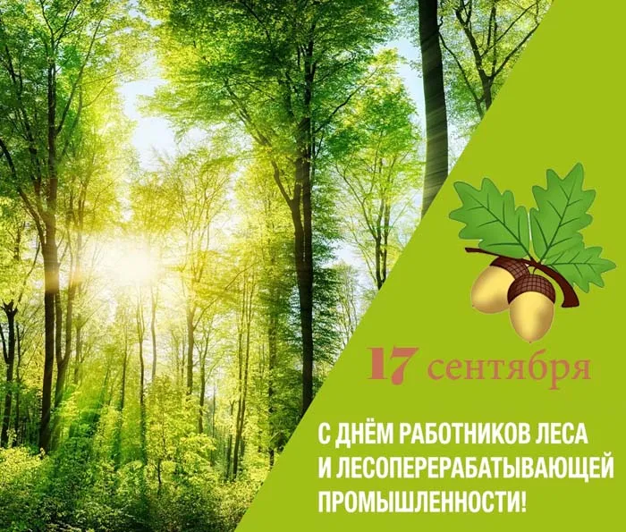 Открытки с Днем работников леса. Картинки с Днем работника леса 2023