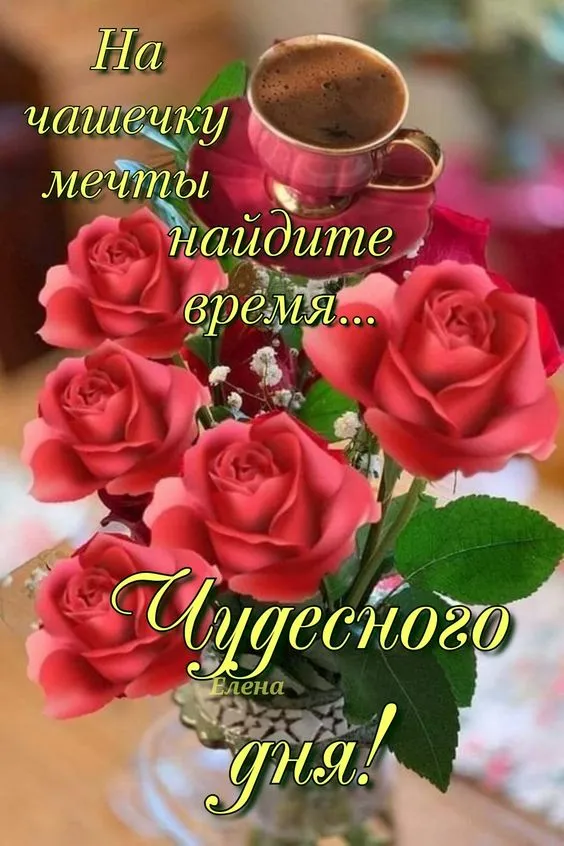 100+ картинок "Хорошего и доброго дня" . Картинки "Хорошего и доброго дня"