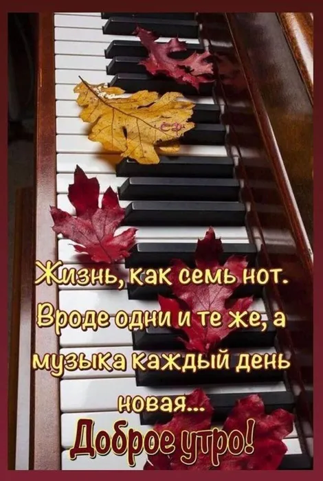 Осенние картинки "Доброе утро" (65 открыток). Осенние картинки Доброе утро