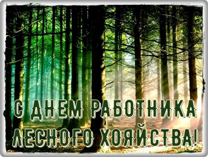 Открытки с Днем работников леса. Картинки с Днем работника леса 2023