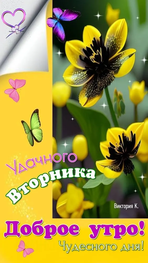 Картинки Доброе утро вторника. Картинки "Доброе утро вторника" красивые