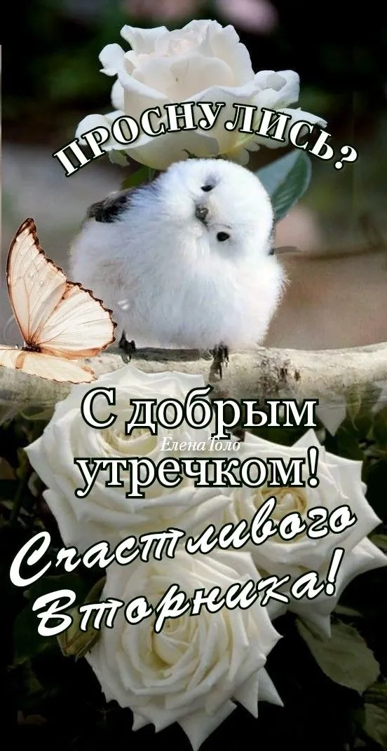 Картинки Доброе утро вторника. Картинки "Доброе утро вторника" красивые