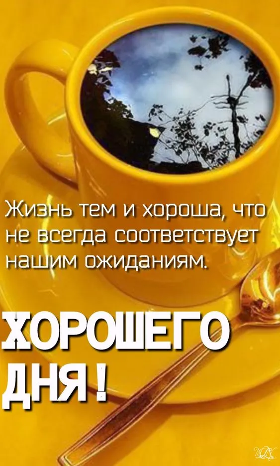 100+ картинок "Хорошего и доброго дня" . Картинки "Хорошего и доброго дня"