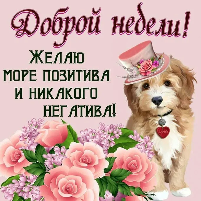 Картинки "Доброе утро понедельника". Доброе утро понедельника - картинки с пожеланиями