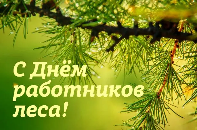 Открытки с Днем работников леса. Картинки с Днем работника леса 2023