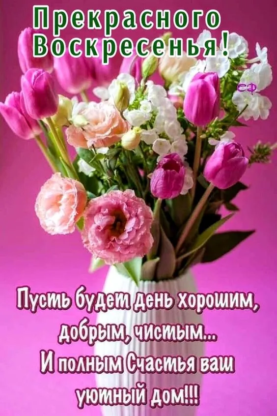 100+ картинок с Добрым утром Воскресенья. Красивые картинки Доброе утро воскресенья