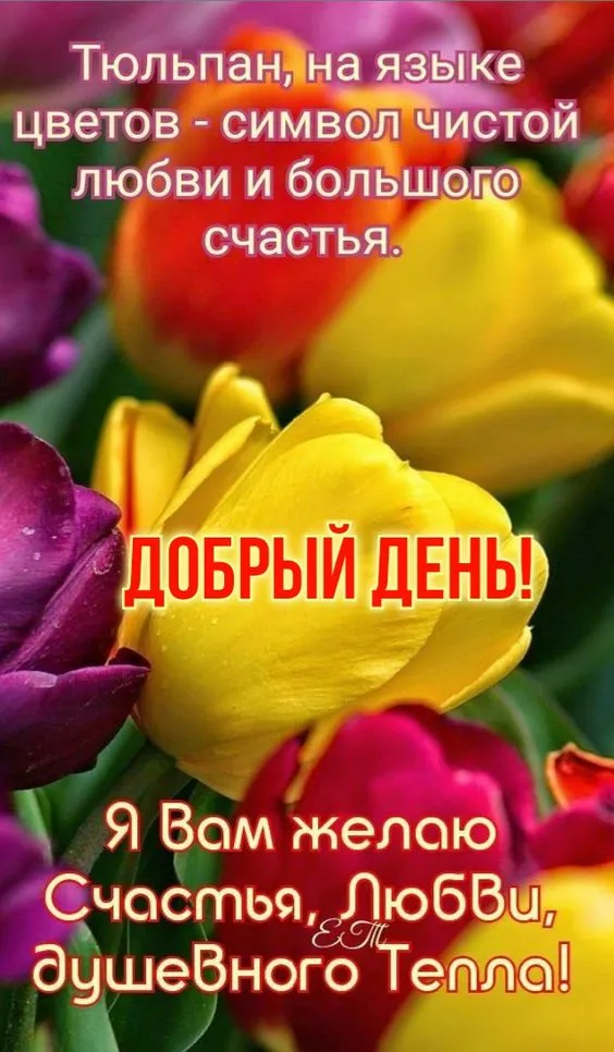 100+ картинок "Хорошего и доброго дня" . Картинки "Хорошего и доброго дня"
