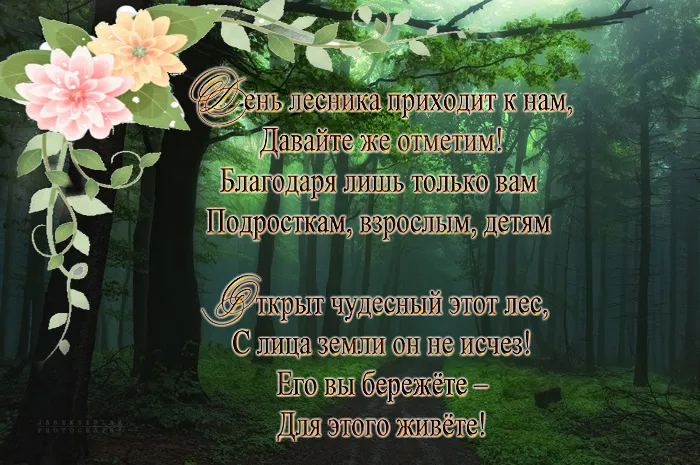 Открытки с Днем работников леса. С Днем работников леса - картинки с поздравлениями