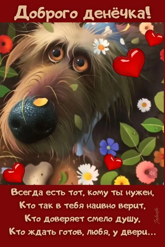 100+ картинок "Хорошего и доброго дня" . Хорошего дня - картинки с пожеланиями