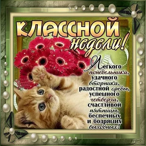 Картинки "Доброе утро понедельника". Доброе утро понедельника - картинки с пожеланиями