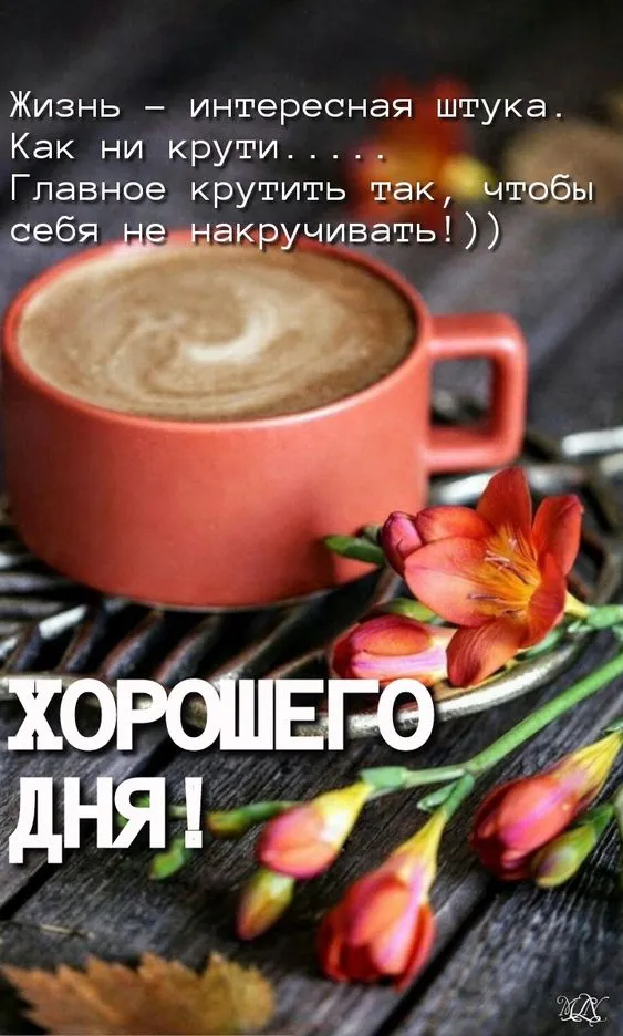 100+ картинок "Хорошего и доброго дня" . Картинки "Хорошего и доброго дня"