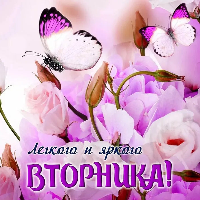 Картинки Доброе утро вторника. С Добрым утром вторника - прикольные картинки