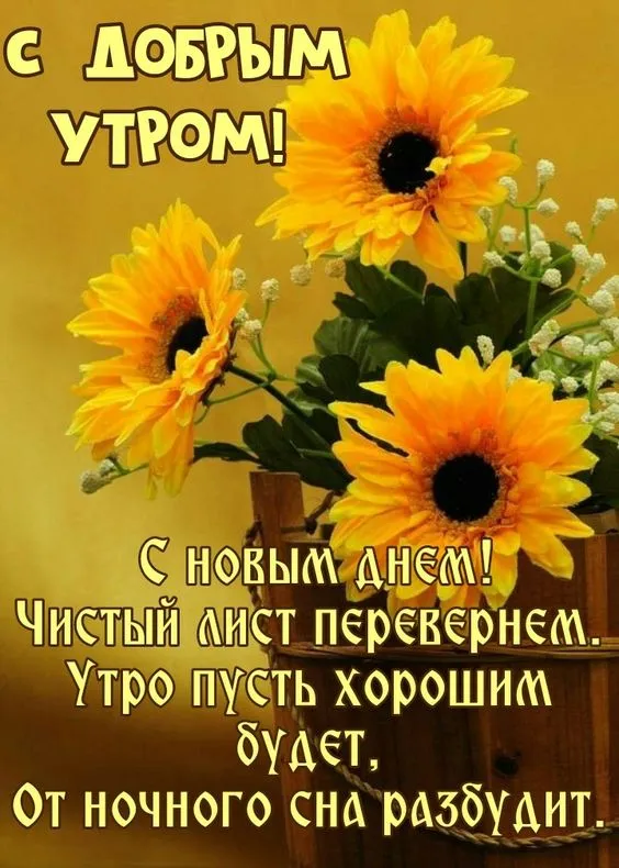 Осенние картинки "Доброе утро" (65 открыток). С Добрым утром - осенние картинки с пожеланиями
