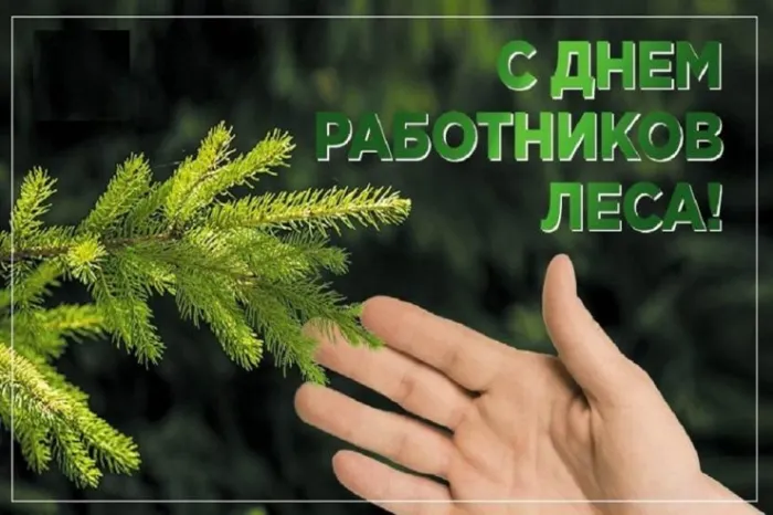 Открытки с Днем работников леса. Картинки с Днем работника леса 2023