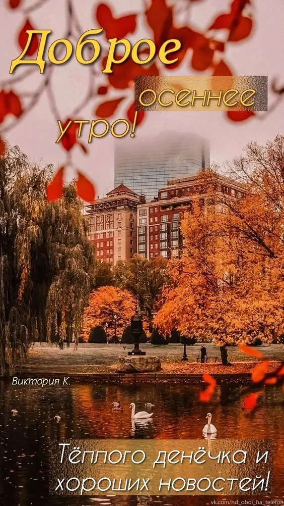 Красивые картинки "С добрым утром октября". Доброе утро октября - картинки осенние