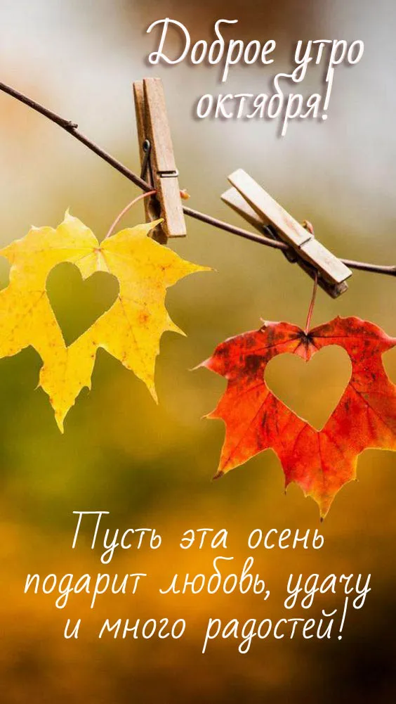 Красивые картинки "С добрым утром октября". Картинки "Доброго утра октября"