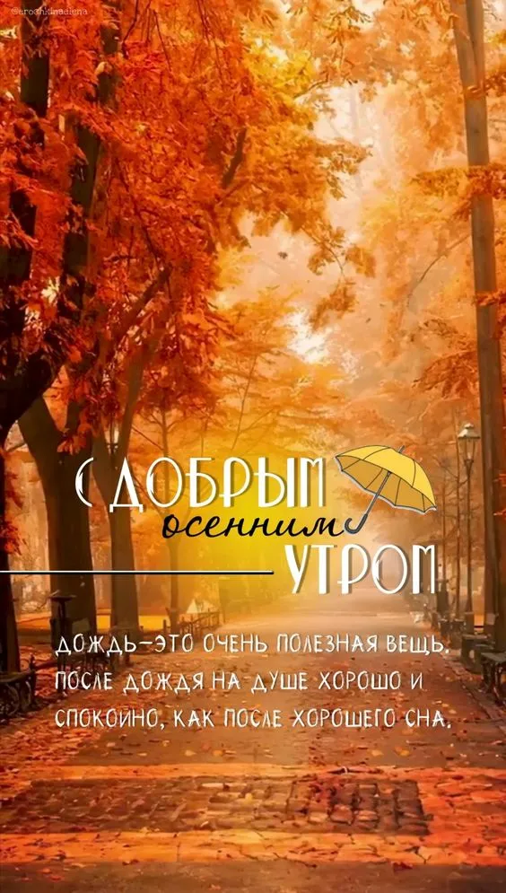Красивые картинки "С добрым утром октября". Картинки Доброго утра октября 2023