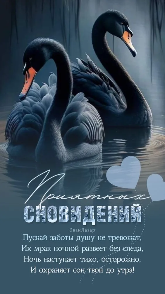 Картинки Спокойной ночи (120 открыток). Картинки "Спокойной ночи" необычные