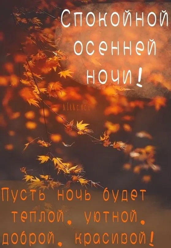 Картинки Спокойной ночи (120 открыток). Красивые картинки Спокойной ночи