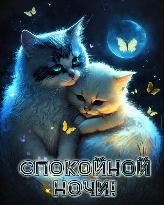 Картинки "Спокойной ночи" (120 открыток). Прикольные картинки Спокойной ночи