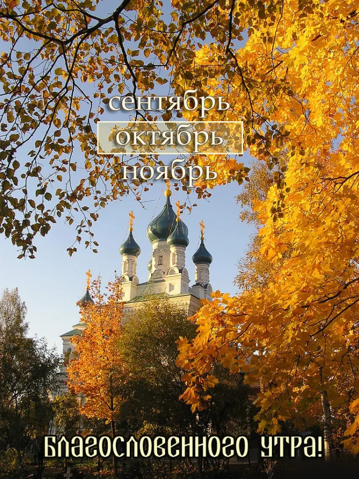 Красивые картинки "С добрым утром октября". Картинки Доброго утра октября 2023