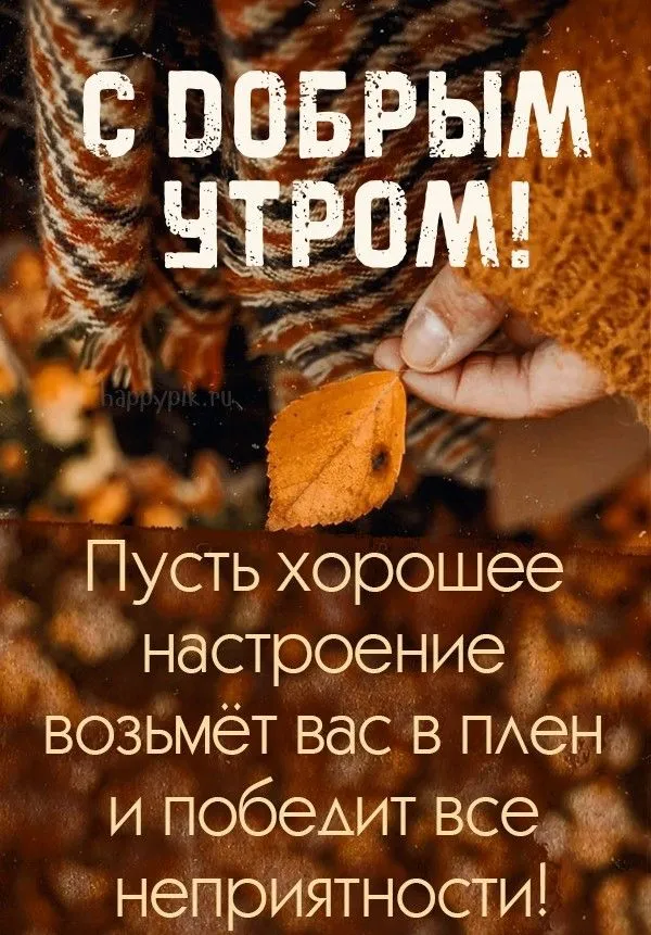 Красивые картинки "С добрым утром октября". Доброе утро октября - картинки осенние
