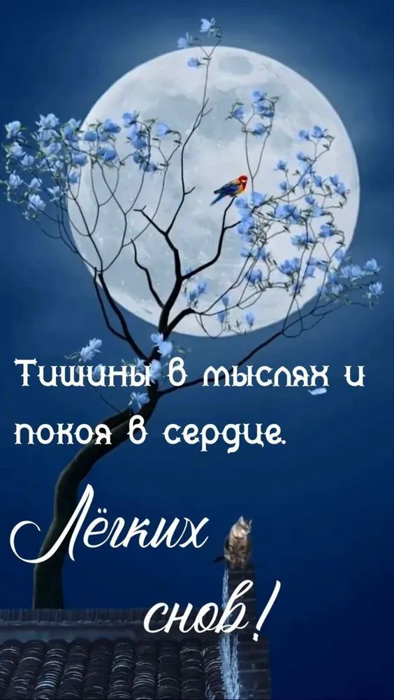 Картинки "Спокойной ночи" (120 открыток). Картинки спокойной и доброй ночи красивые