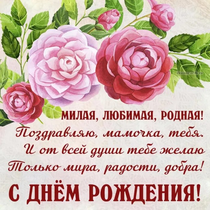 С Днем рождения женщине - картинки и гифки. С Днем рождения - картинки с поздравлениями