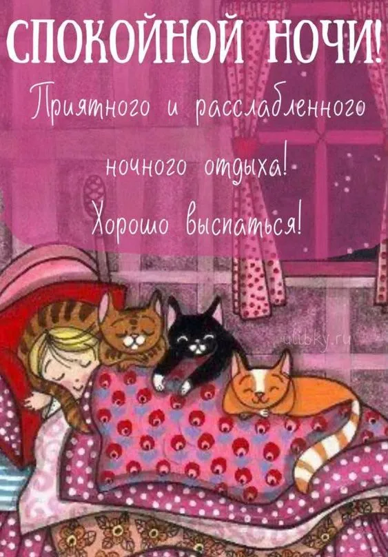 Картинки "Спокойной ночи" (120 открыток). Прикольные картинки Спокойной ночи