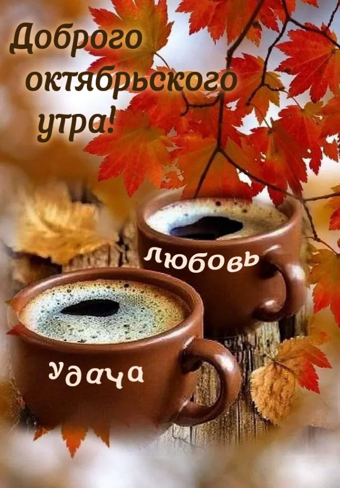 Красивые картинки "С добрым утром октября". Доброе утро октября - картинки осенние