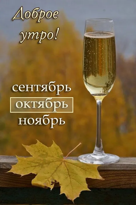 Красивые картинки "С добрым утром октября". Картинки "Доброго утра октября"