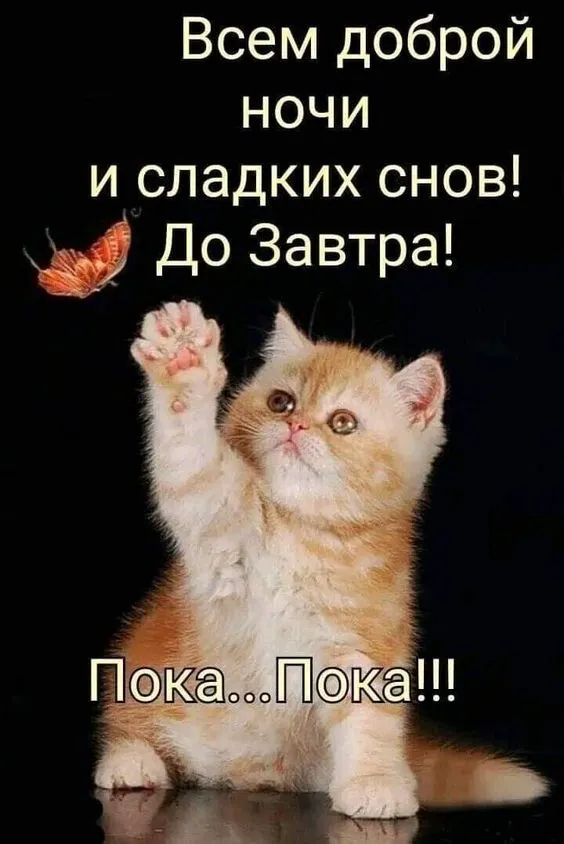 Картинки "Спокойной ночи" (120 открыток). Спокойной ночи - картинки с пожеланиями