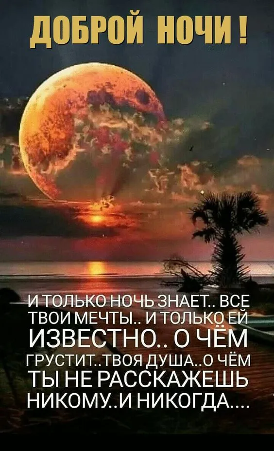 Картинки "Спокойной ночи" (120 открыток). Спокойной ночи - картинки с пожеланиями