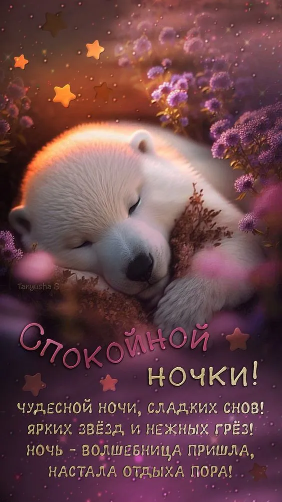 Картинки Спокойной ночи (120 открыток). Красивые картинки Спокойной ночи