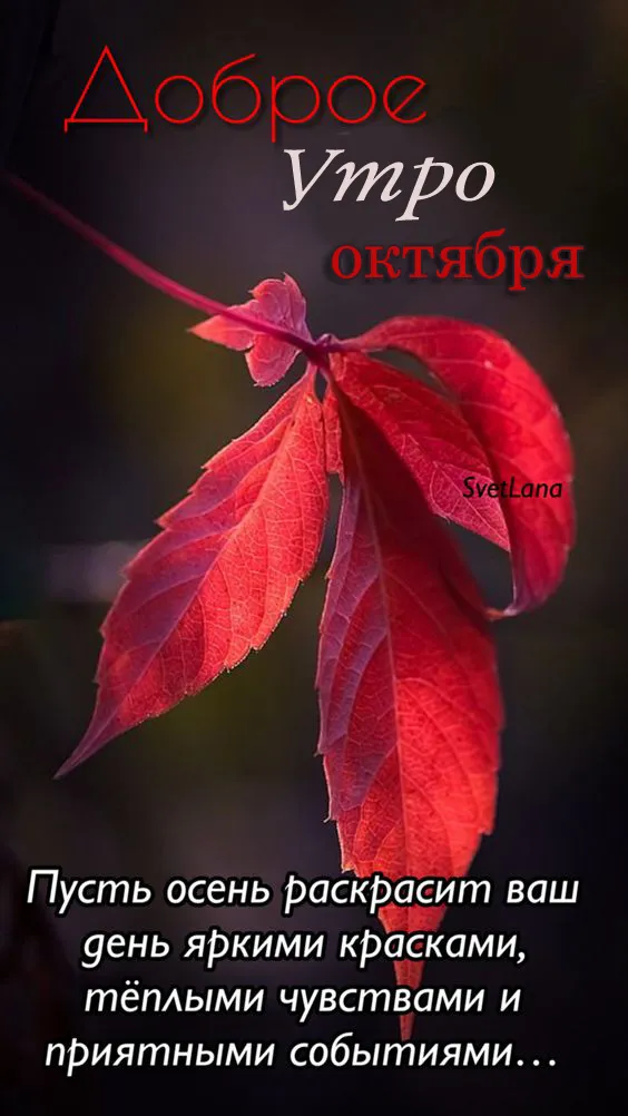Красивые картинки "С добрым утром октября". Картинки "Доброго утра октября"