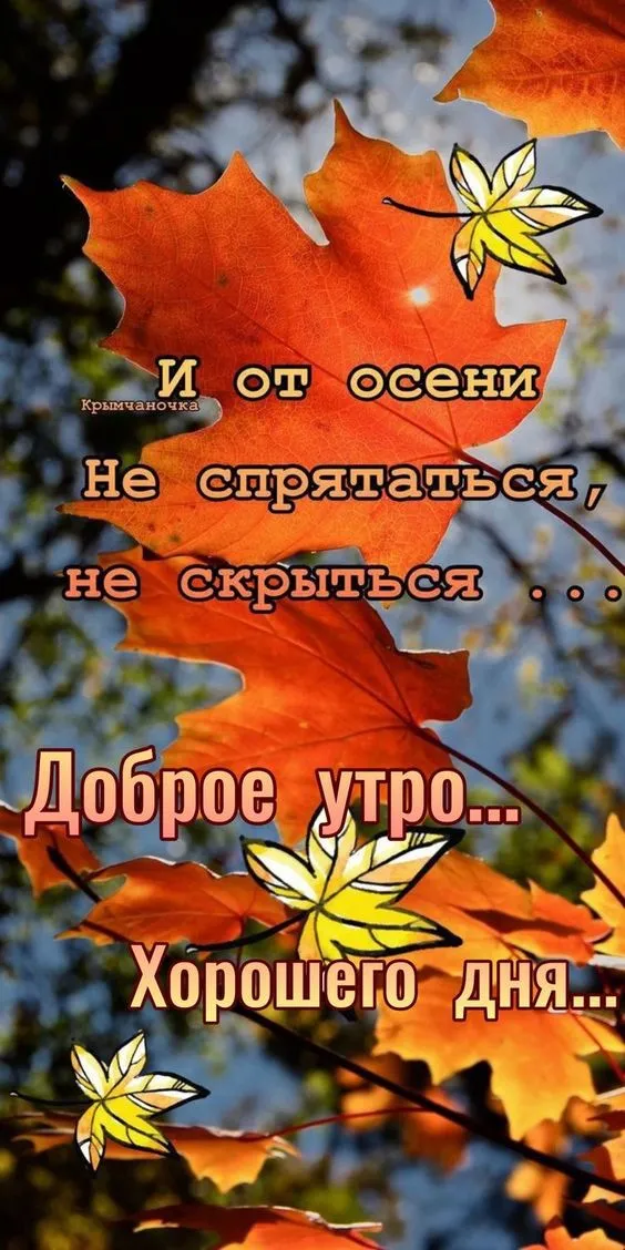 Красивые картинки "С добрым утром октября". Доброе утро октября - картинки осенние