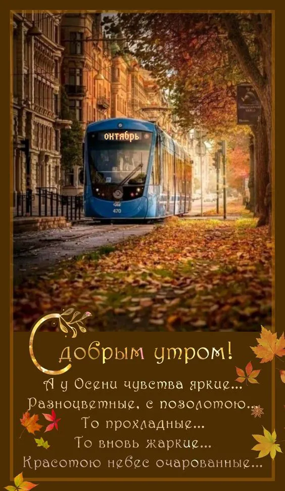 Красивые картинки "С добрым утром октября". Картинки "Доброго утра октября"