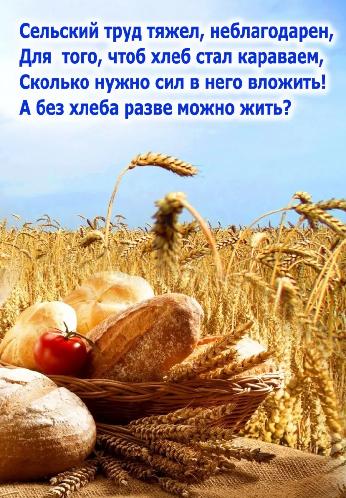 Открытки с Днем работника сельского хозяйства. С Днем работника сельского хозяйства - картинки с поздравлениями