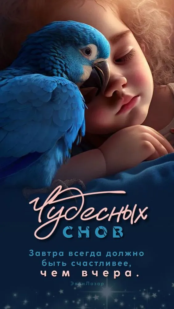 Картинки "Спокойной ночи" (120 открыток). Картинки спокойной и доброй ночи красивые
