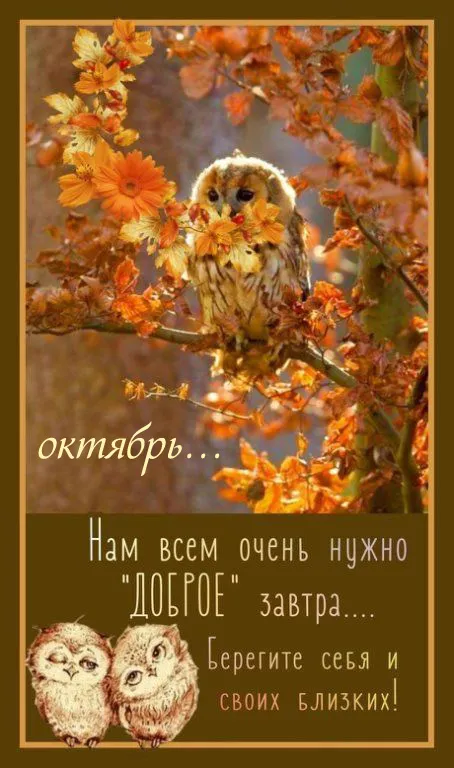 Красивые картинки "С добрым утром октября". Картинки "Доброго утра октября"