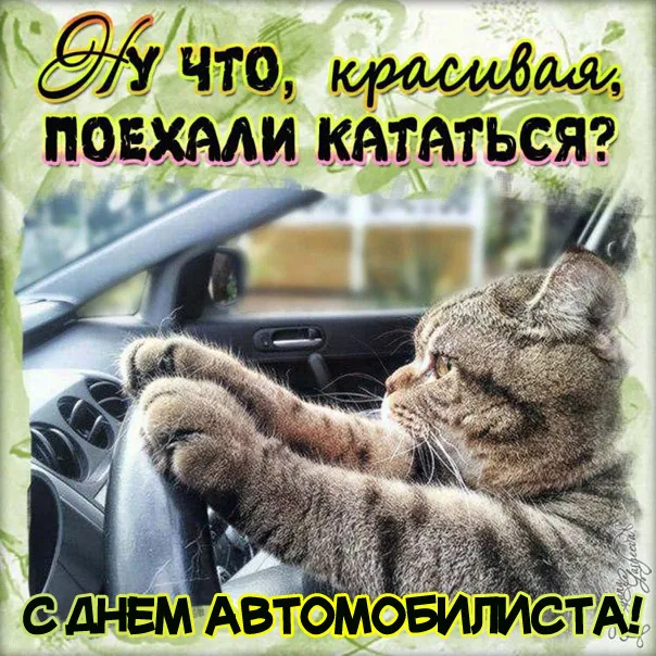Открытки "С Днем автомобилиста". Прикольные картинки с Днем автомобилиста