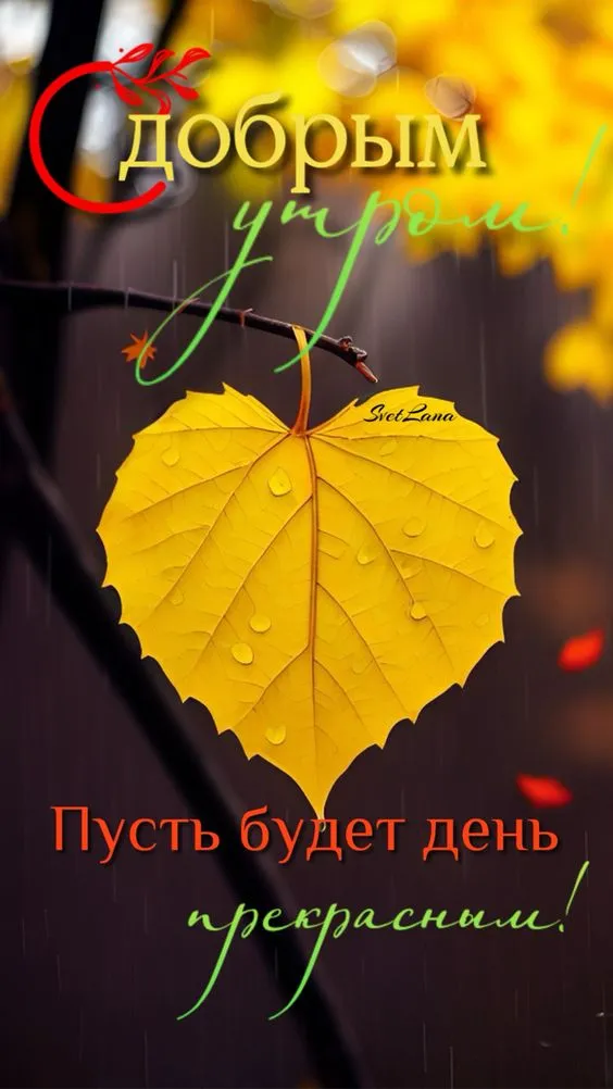Осенние картинки "Доброе утро" (65 открыток). Осенние картинки Доброе утро
