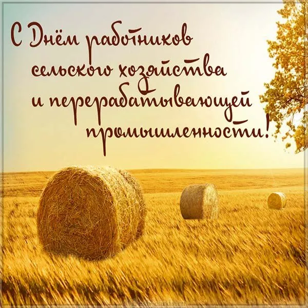 Открытки с Днем работника сельского хозяйства. С Днем работника сельского хозяйства - картинки с поздравлениями